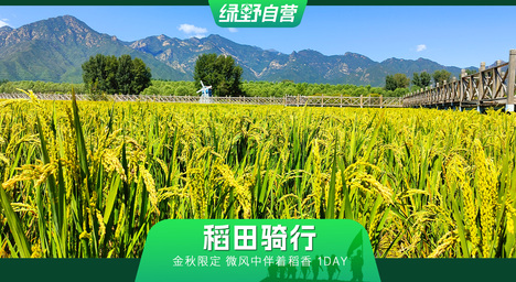 1日｜晚起?稻田騎行26KM